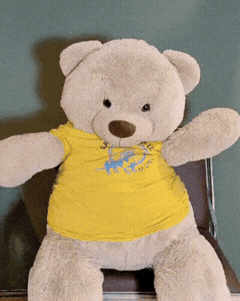 Ein Teddy zuckt mir den Schultern "Huch, was ist da passiert?"